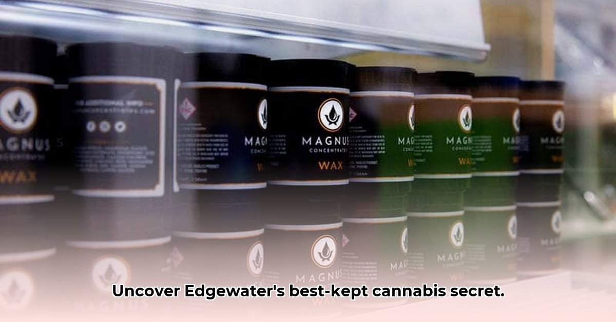 green-dragon-edgewater-edgewater-co